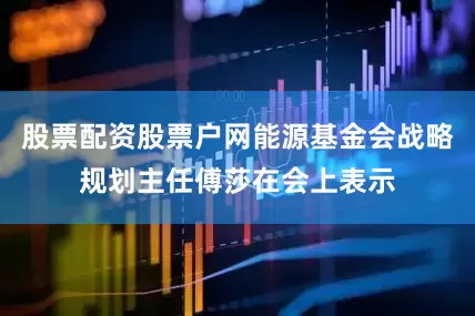 股票配资股票户网能源基金会战略规划主任傅莎在会上表示