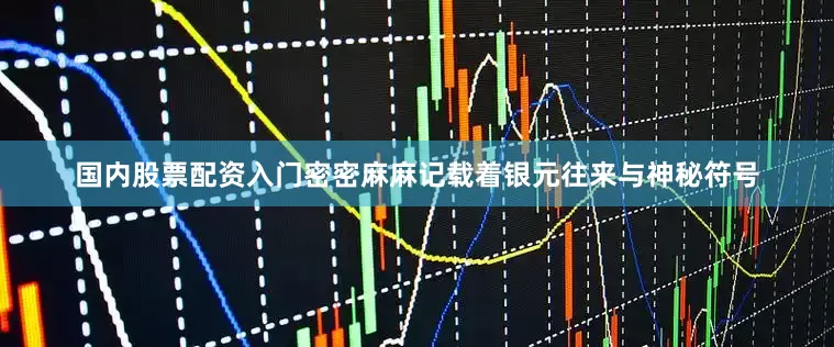 国内股票配资入门密密麻麻记载着银元往来与神秘符号