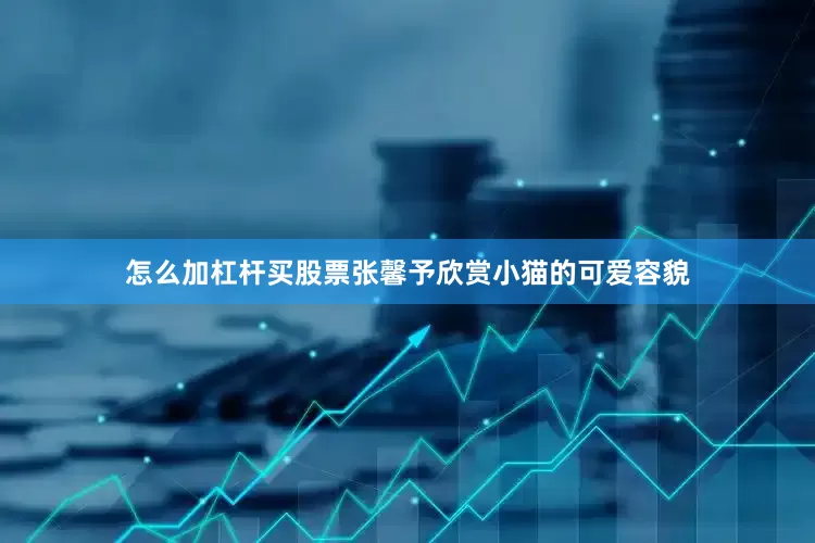 怎么加杠杆买股票张馨予欣赏小猫的可爱容貌