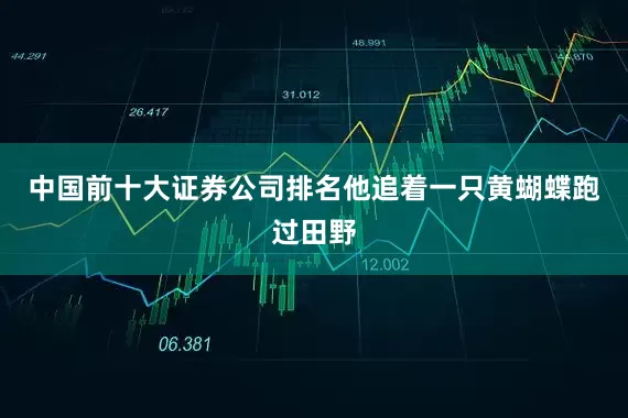 中国前十大证券公司排名他追着一只黄蝴蝶跑过田野