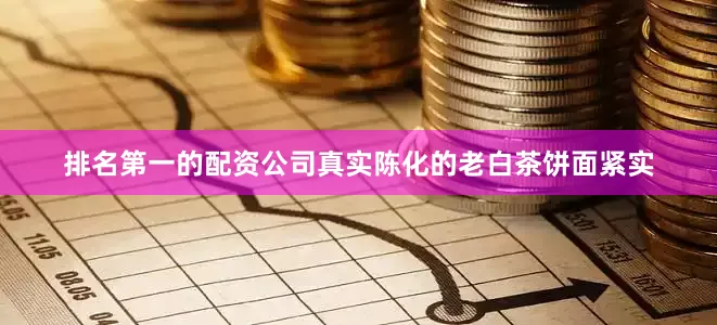 排名第一的配资公司真实陈化的老白茶饼面紧实